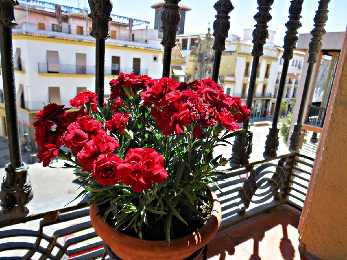 Via Alfaros Apartment Cordoba Exterior photo